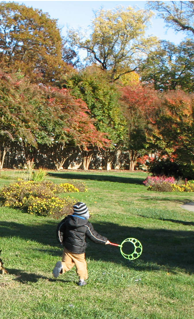 A young child running through the outdoor gardens surrounded by trees in fall colors