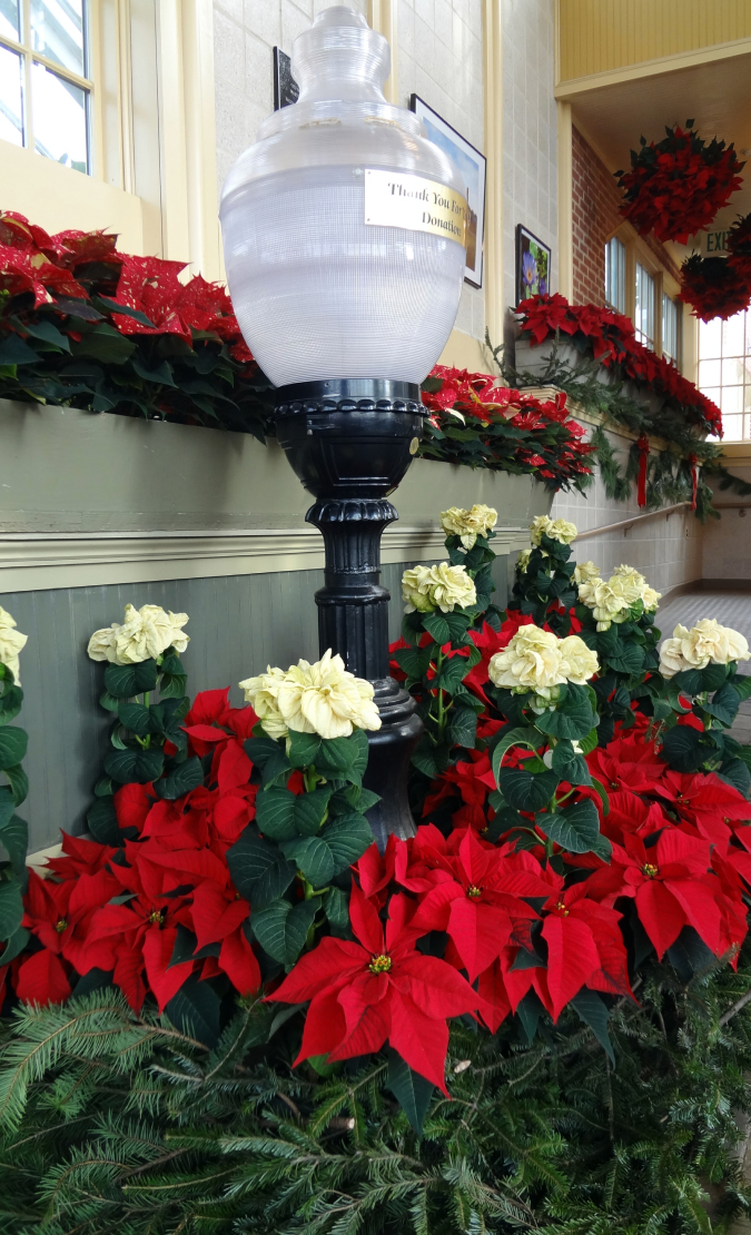 A display of large red poinsettias and small white poinsettias around a vintage light post
