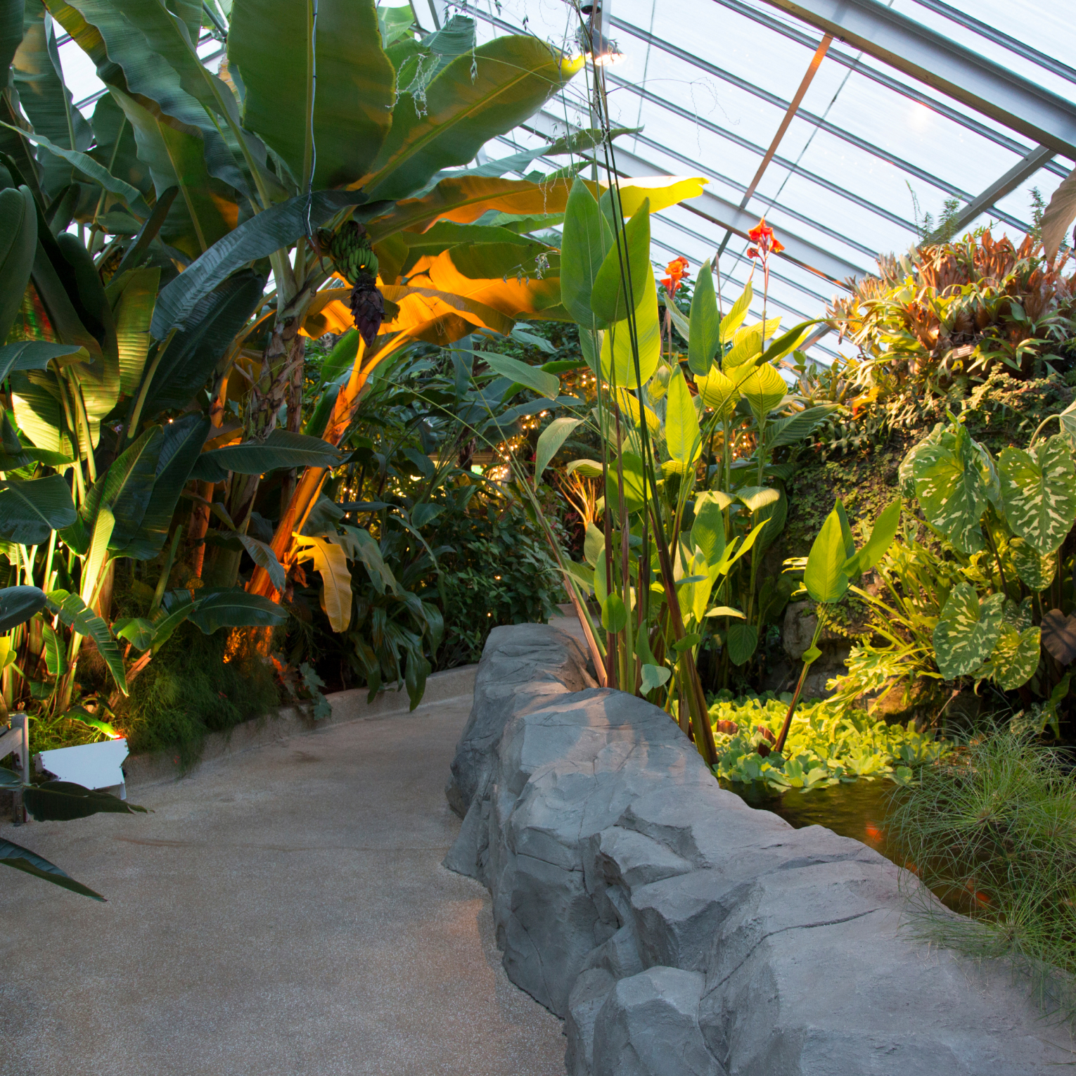The Tropical House with plants lit from below making for a dramatic contrast of green and shadows
