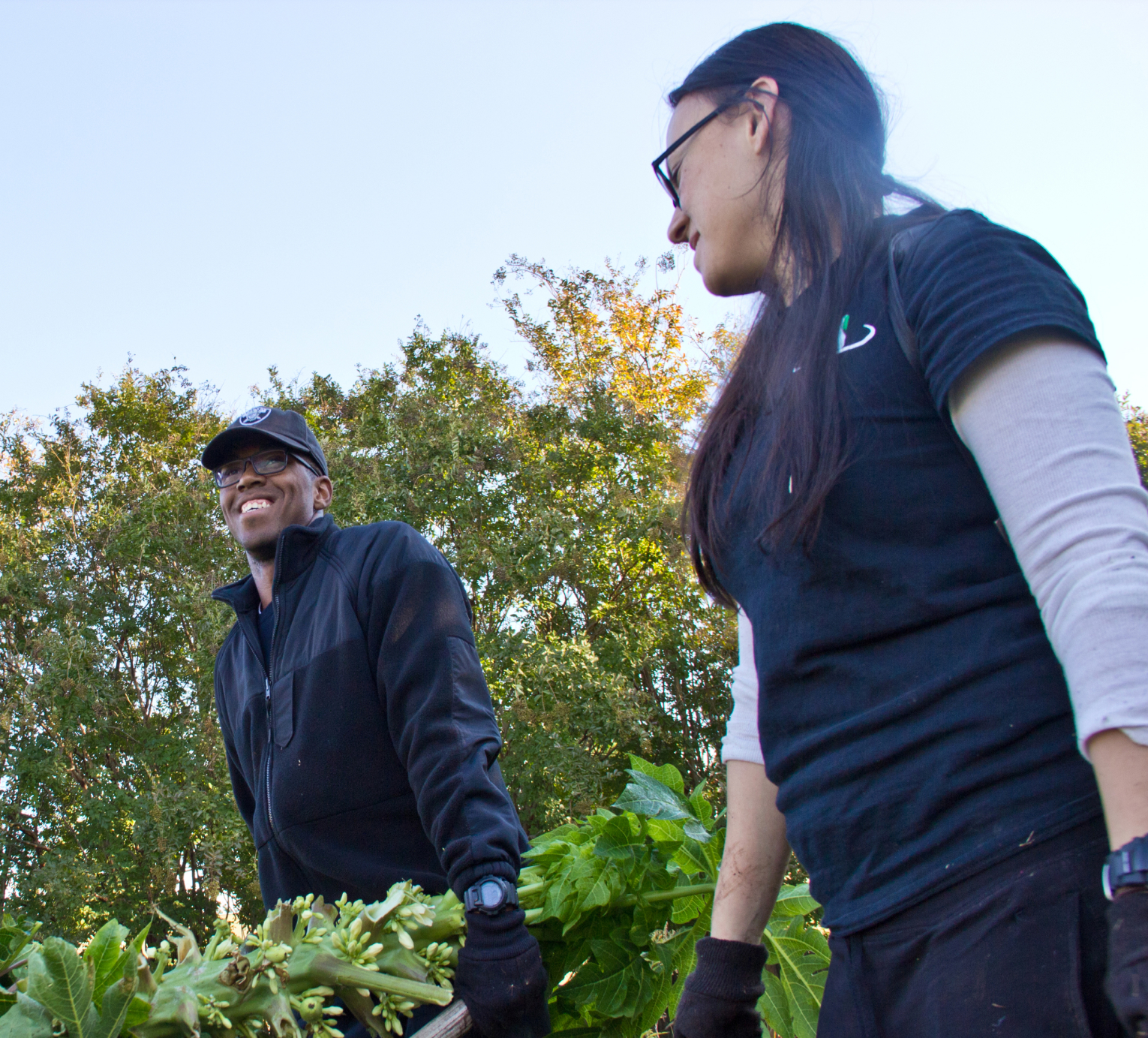 Two volunteers transporting plants in fall Walkway in the Palm House with a canopy of palm fronds and tropical plants growing below the palm trees